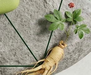 Ginseng